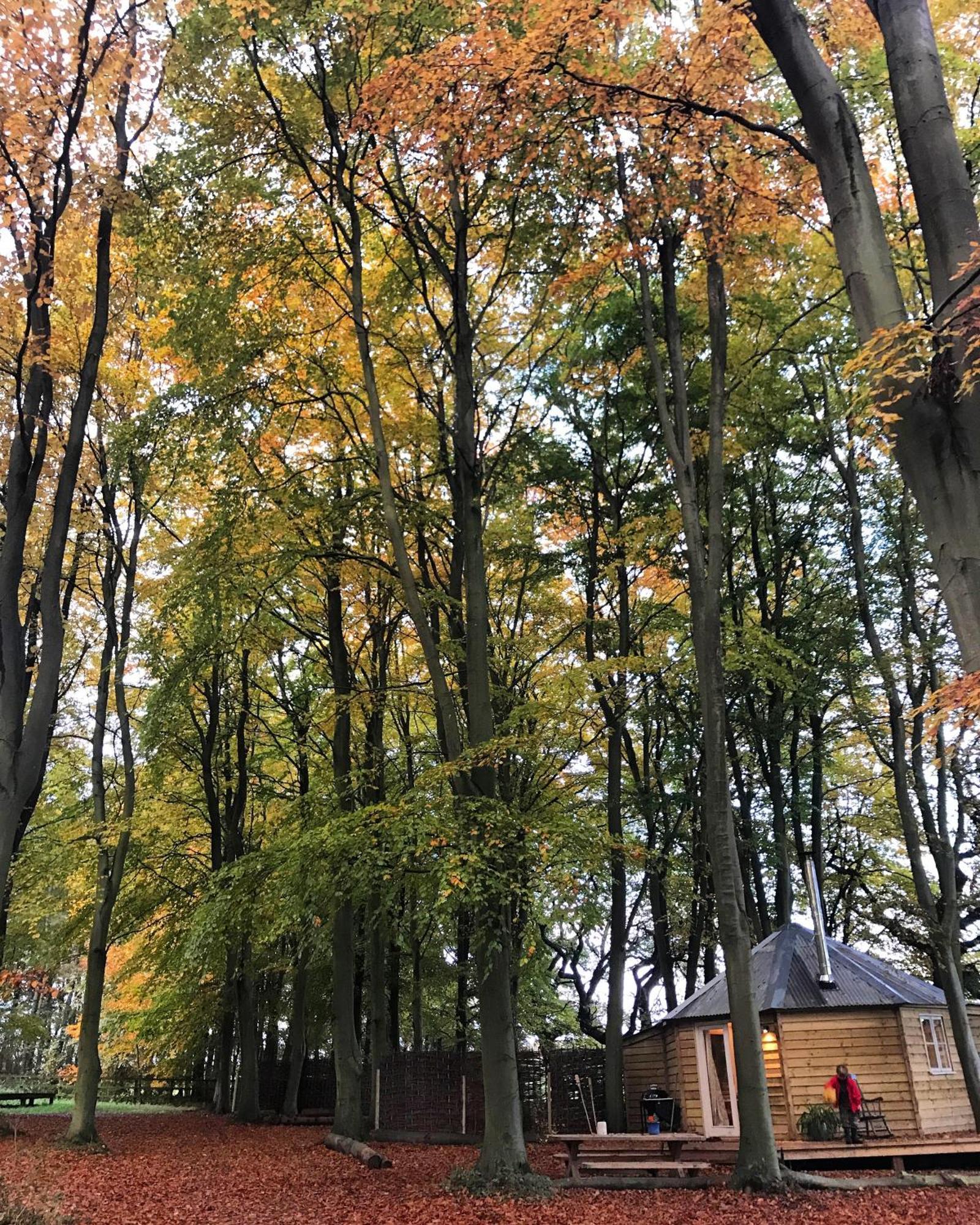 Woodpecker Cabin With Hot Tub キングズ・リン エクステリア 写真