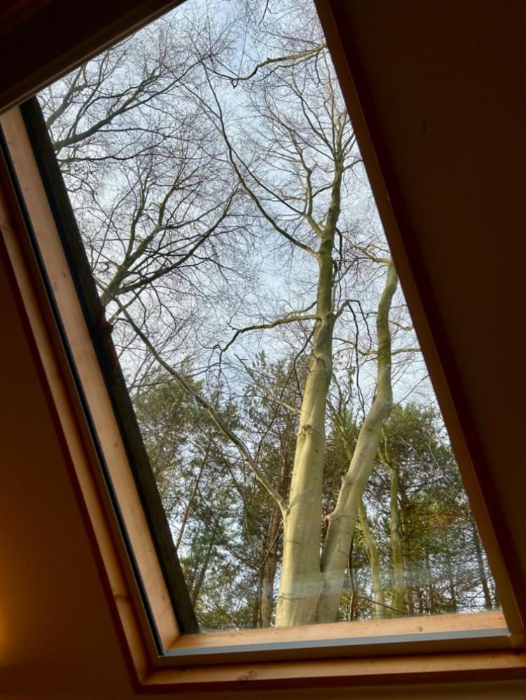 Woodpecker Cabin With Hot Tub キングズ・リン エクステリア 写真